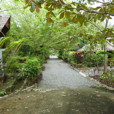 Magpie Homestay & Jungle Trekking Only For Guest Trekking With Us Bukit Lawang Exteriér fotografie