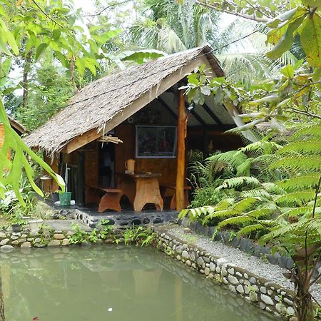 Magpie Homestay & Jungle Trekking Only For Guest Trekking With Us Bukit Lawang Exteriér fotografie