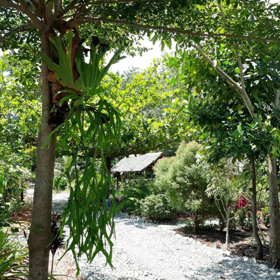 Magpie Homestay & Jungle Trekking Only For Guest Trekking With Us Bukit Lawang Exteriér fotografie