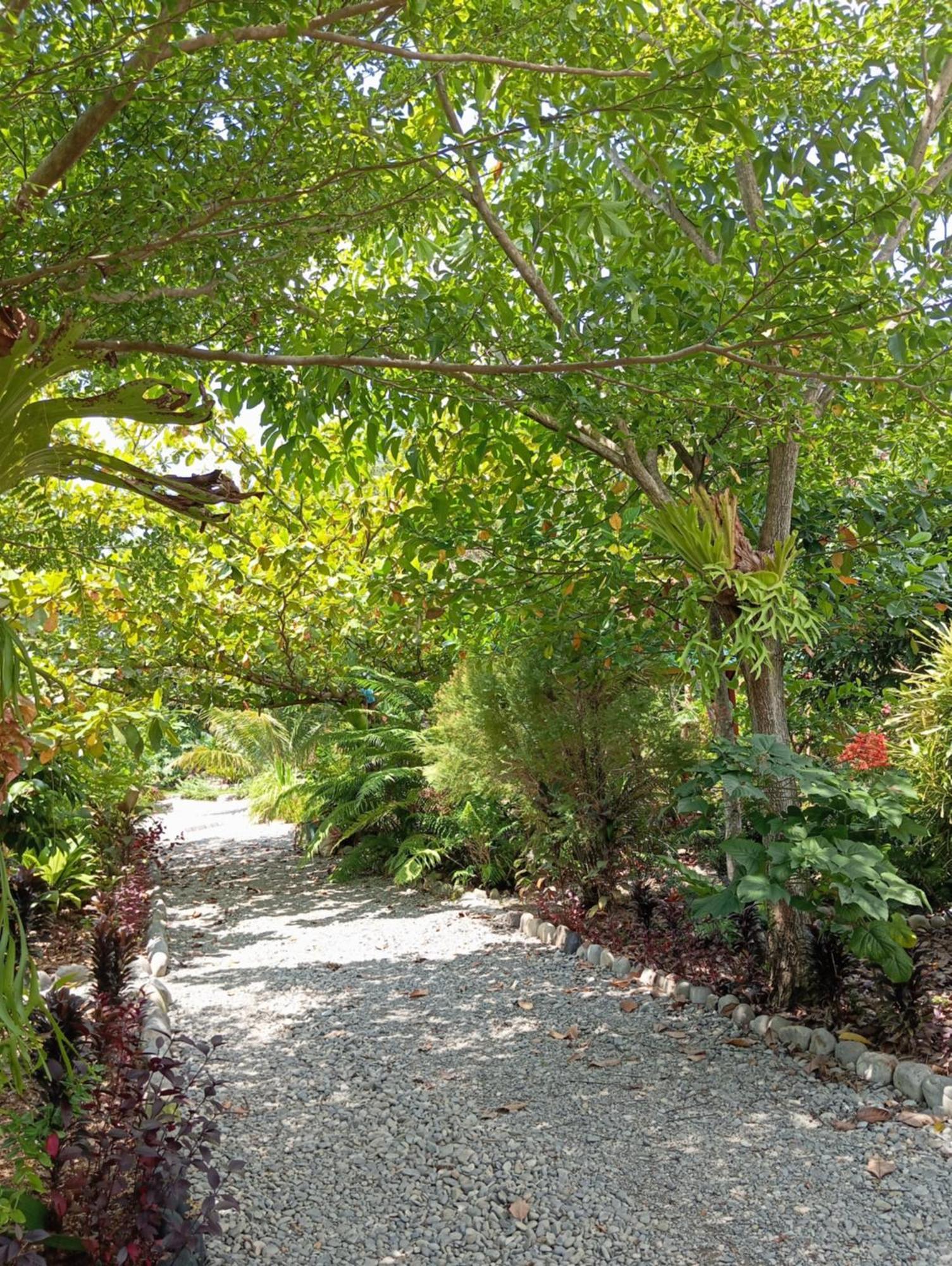 Magpie Homestay & Jungle Trekking Only For Guest Trekking With Us Bukit Lawang Exteriér fotografie
