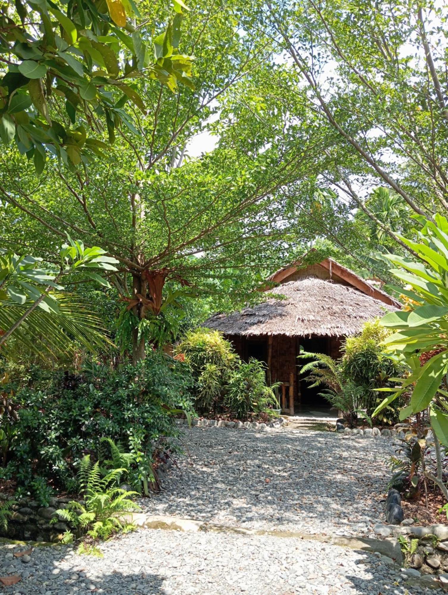 Magpie Homestay & Jungle Trekking Only For Guest Trekking With Us Bukit Lawang Exteriér fotografie