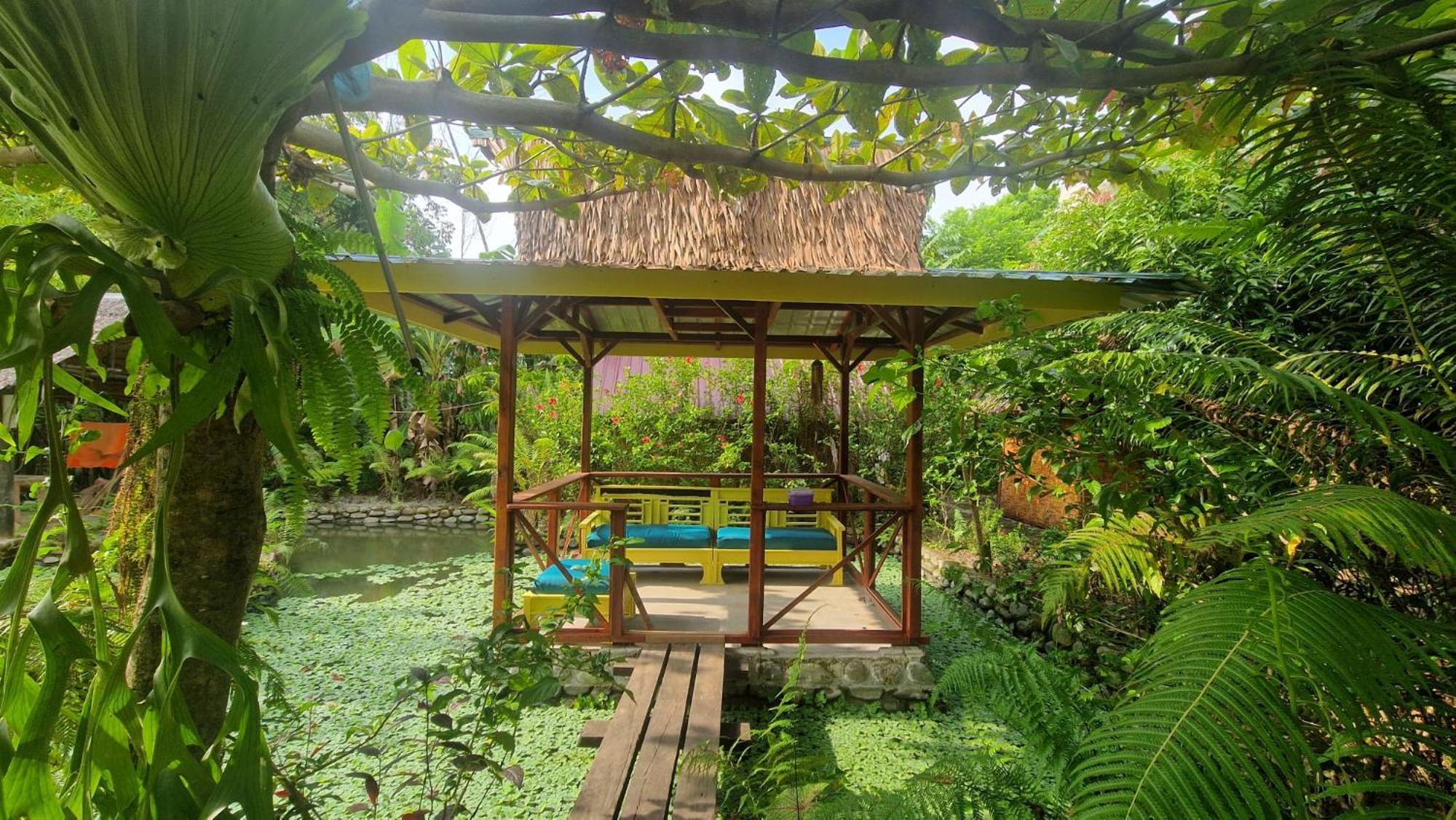 Magpie Homestay & Jungle Trekking Only For Guest Trekking With Us Bukit Lawang Exteriér fotografie