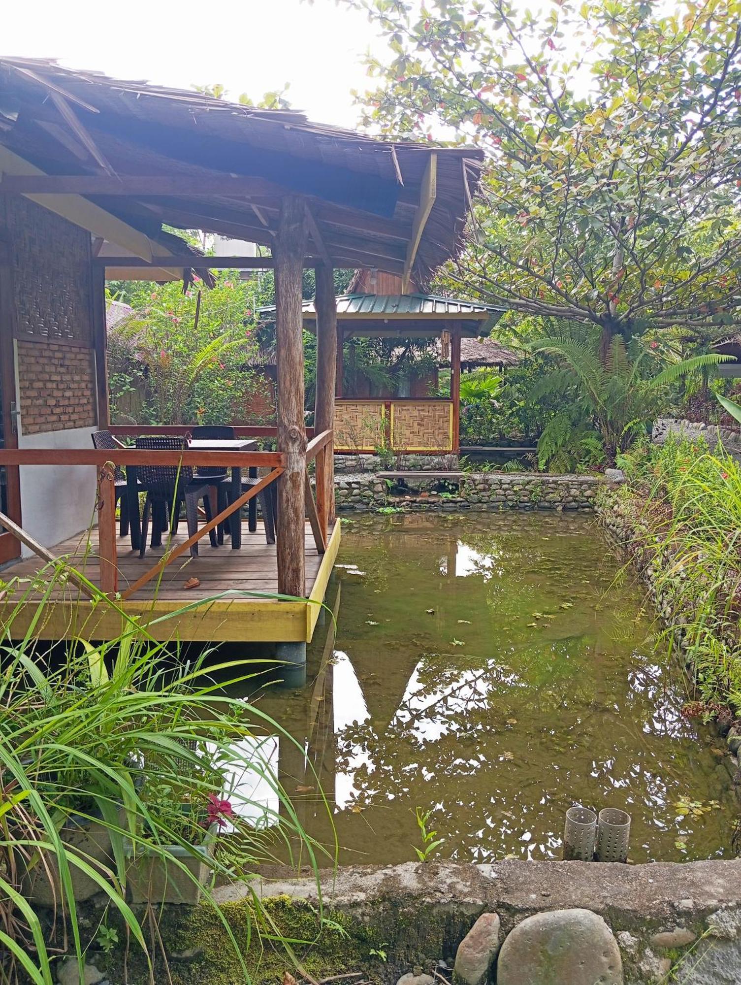 Magpie Homestay & Jungle Trekking Only For Guest Trekking With Us Bukit Lawang Pokoj fotografie
