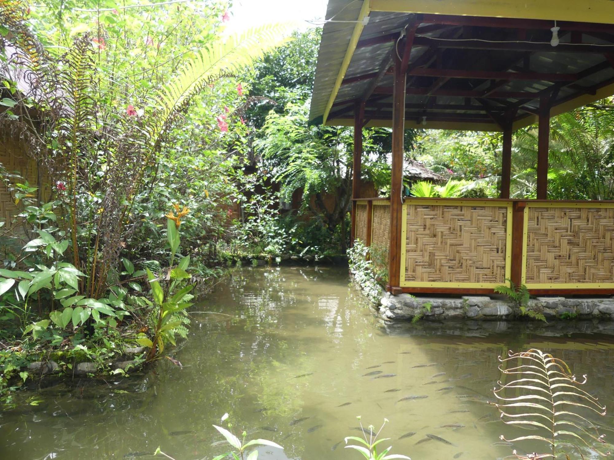 Magpie Homestay & Jungle Trekking Only For Guest Trekking With Us Bukit Lawang Pokoj fotografie