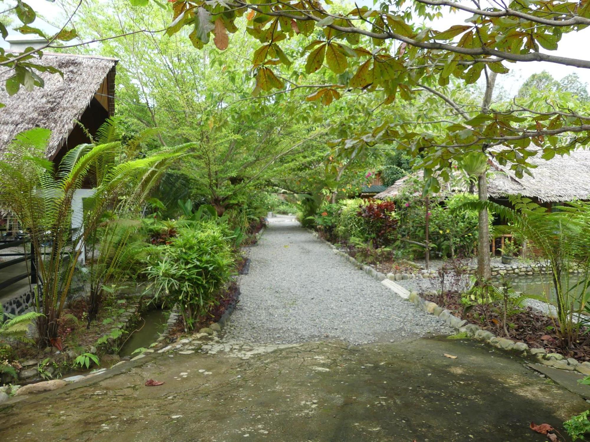 Magpie Homestay & Jungle Trekking Only For Guest Trekking With Us Bukit Lawang Exteriér fotografie