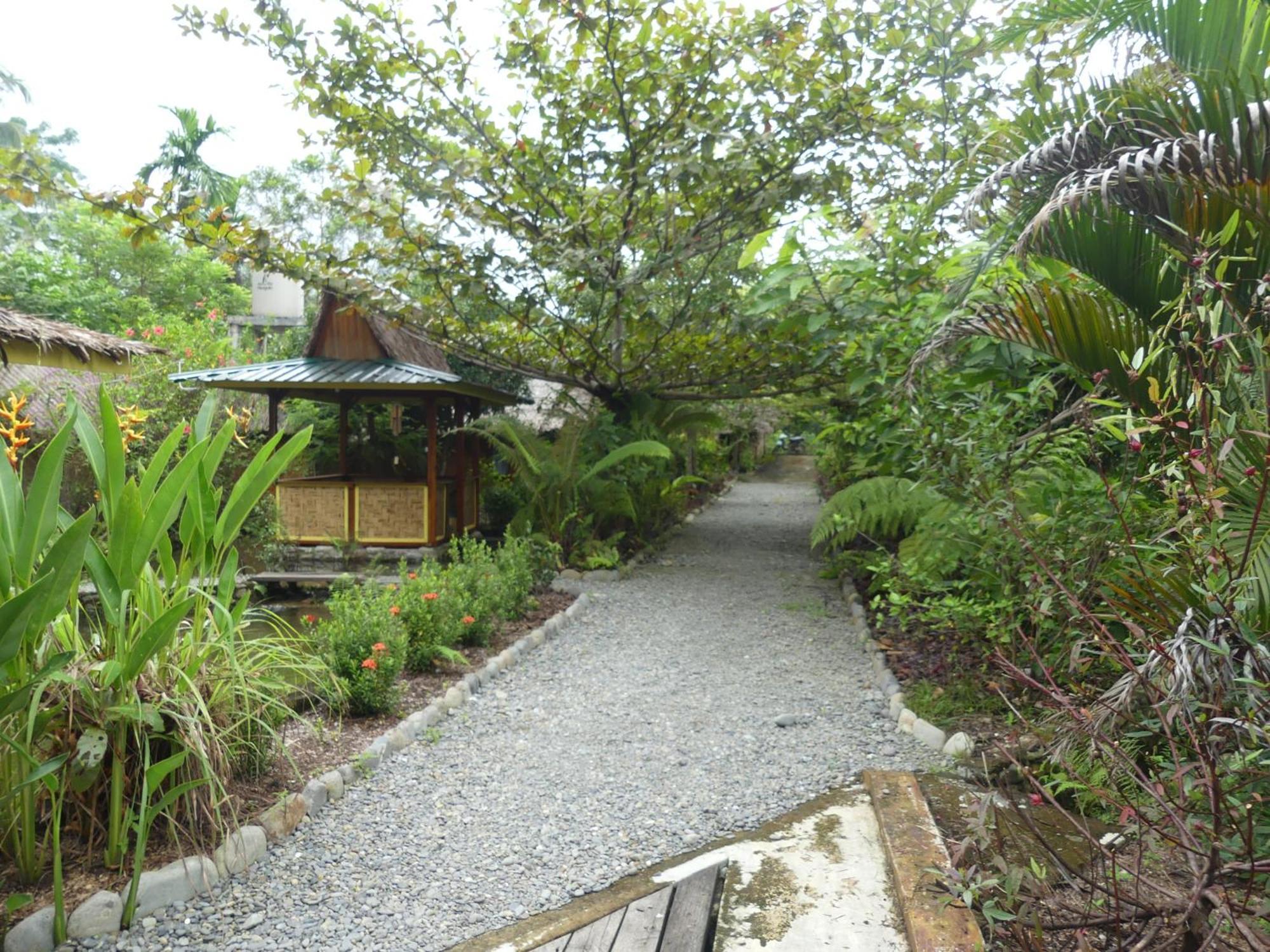 Magpie Homestay & Jungle Trekking Only For Guest Trekking With Us Bukit Lawang Pokoj fotografie