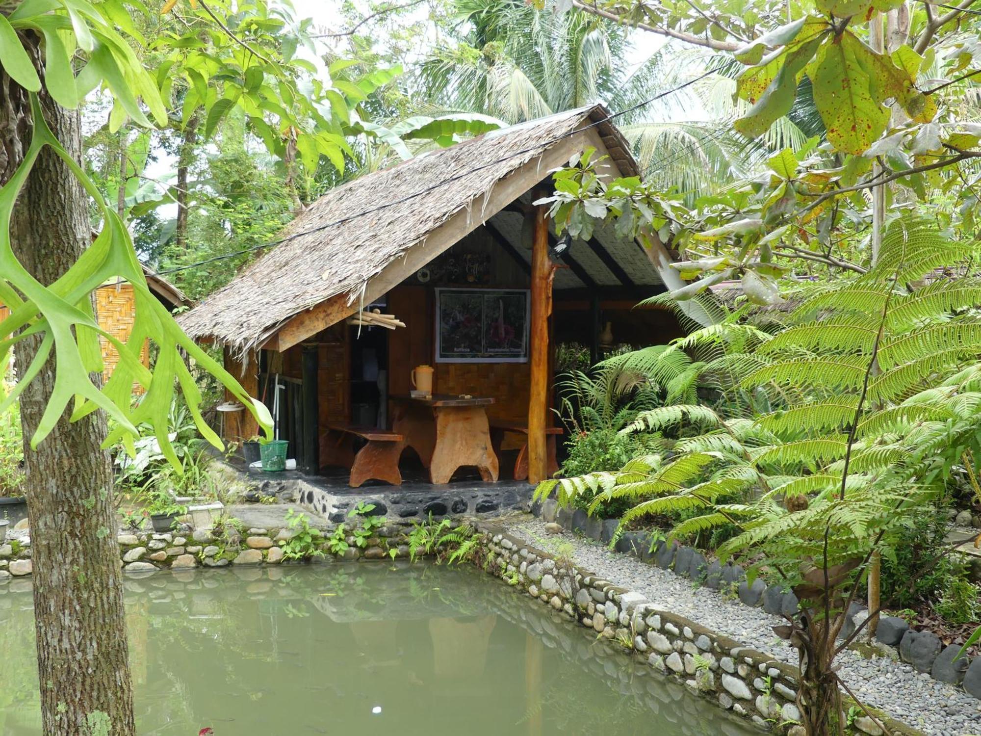 Magpie Homestay & Jungle Trekking Only For Guest Trekking With Us Bukit Lawang Exteriér fotografie